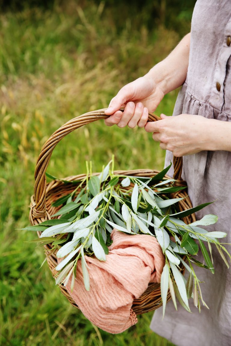 Gentle Visibility Tips for Creative Business Owners